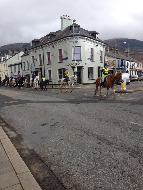The Sands B&B Rostrevor Exterior foto